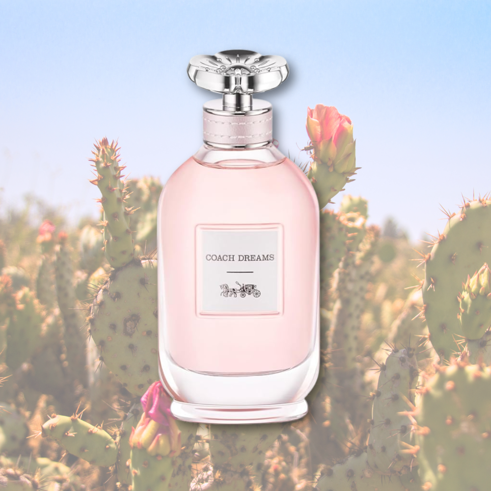 Coach Dreams Eau De Parfum for Women (1.3 oz / 2.0 oz / 3.0 oz)